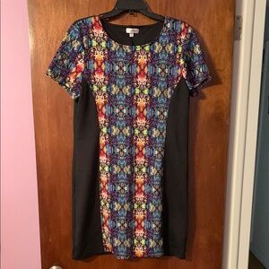 Multicolor Dress with Black Panels